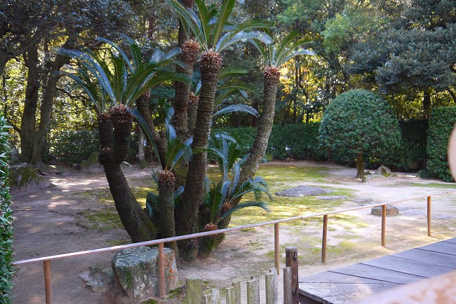 日本庭園？.jpg