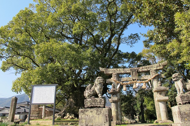 青幡神社.jpg